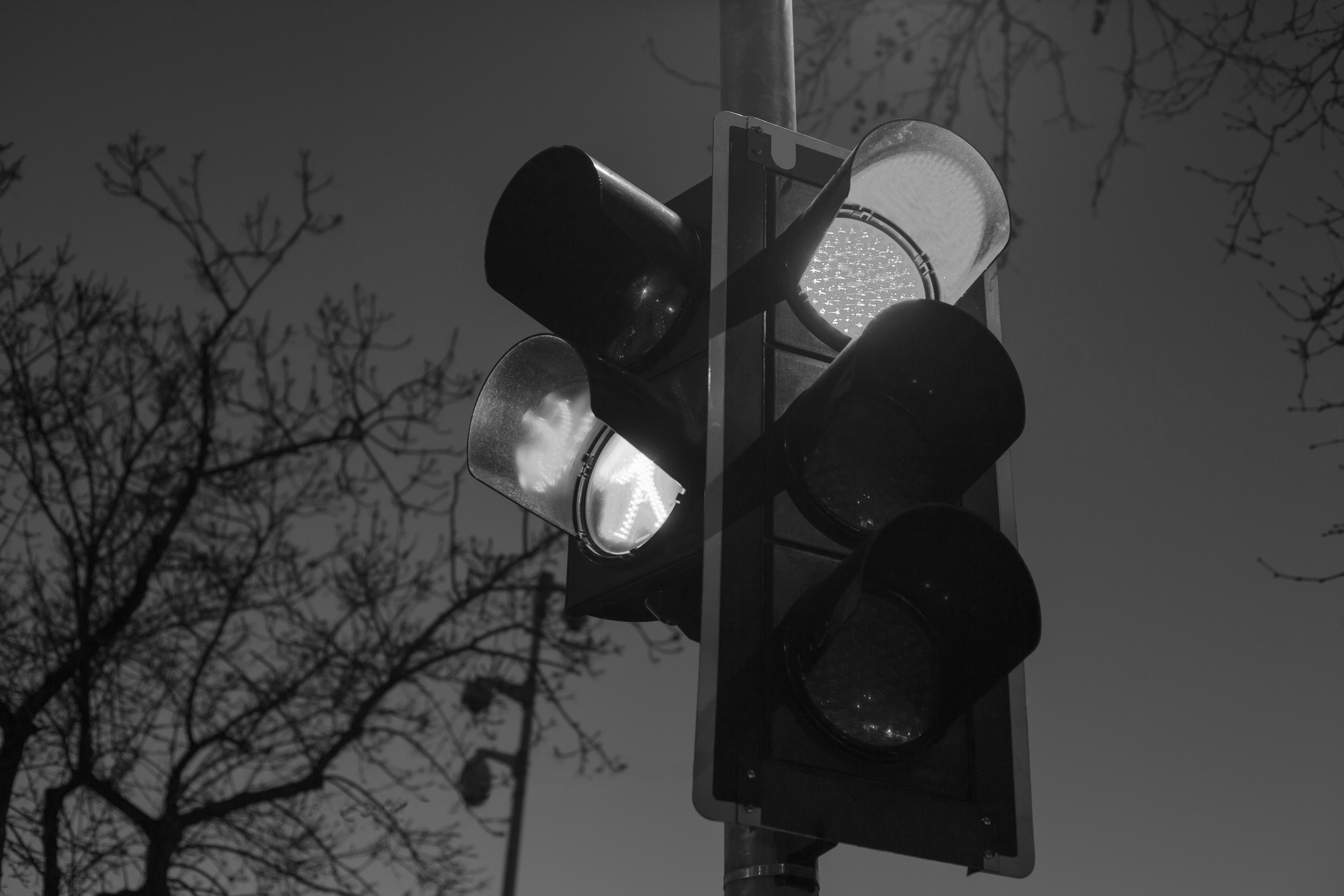 Traffic lights b&w